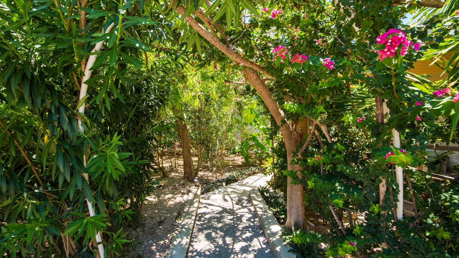 One On Marlin Resort (Adults Only) Turtle Cove