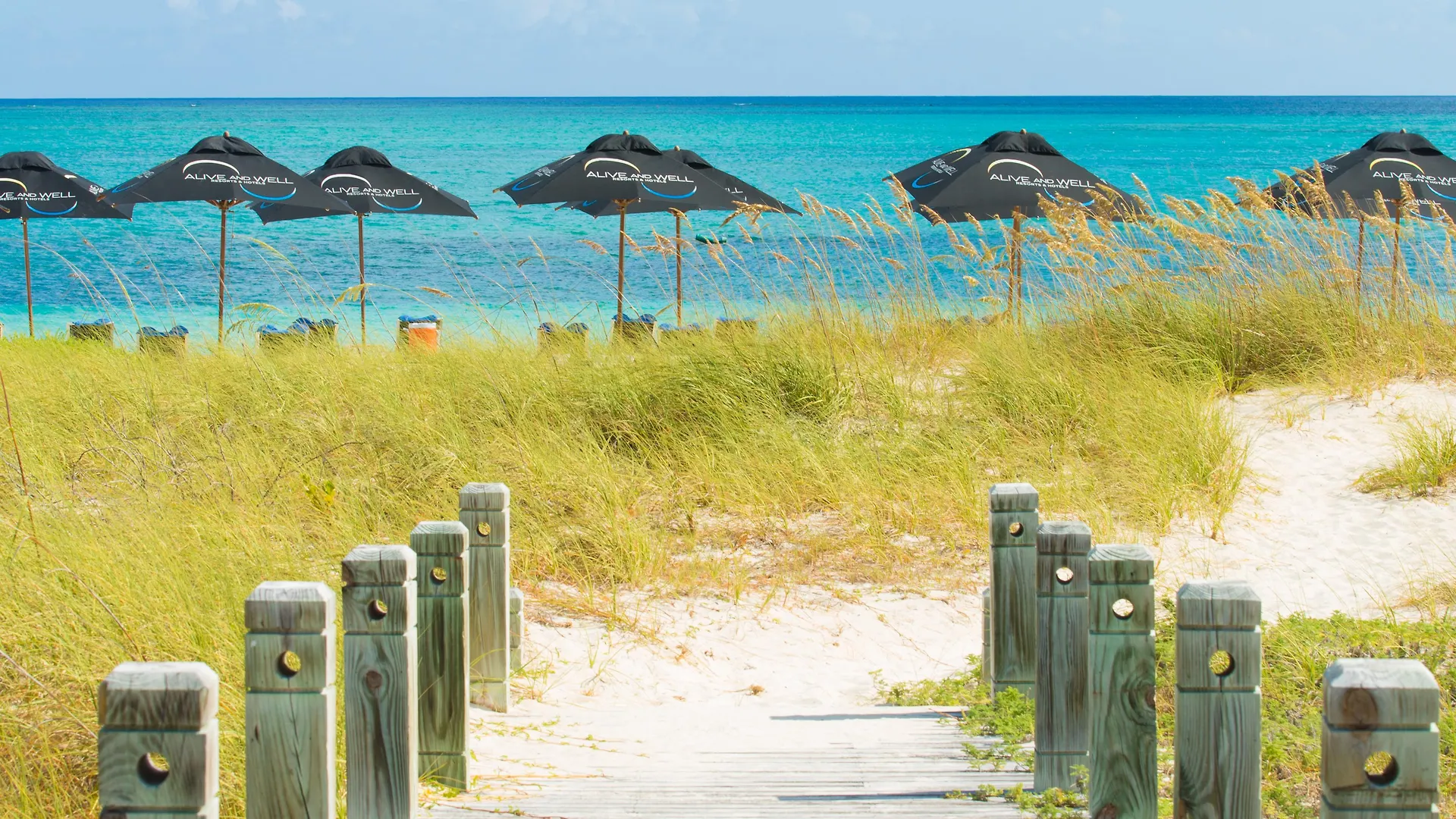 One On Marlin Resort (Adults Only) Turtle Cove Turks And Caicos Islands