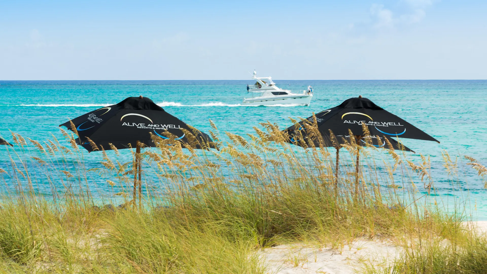 One On Marlin Resort (Adults Only) Turtle Cove