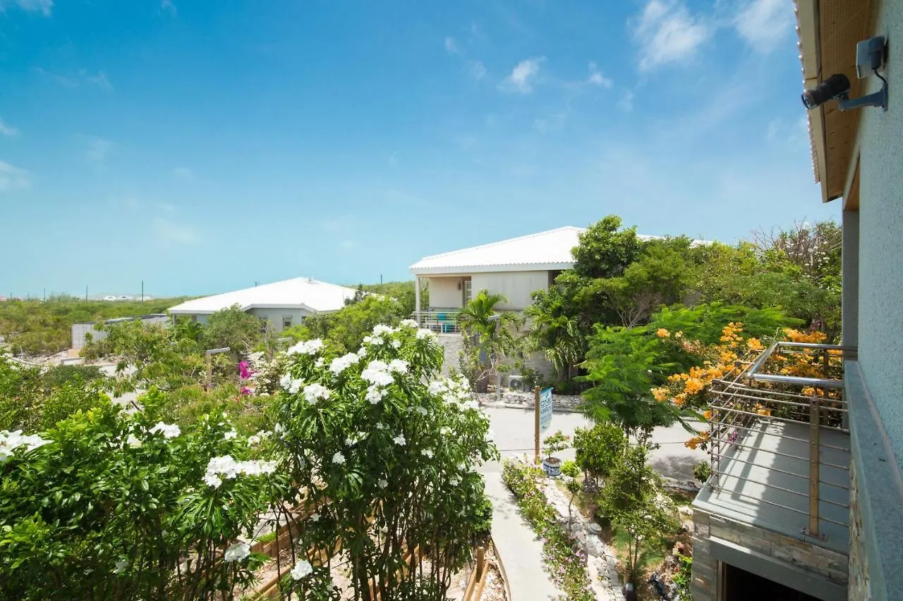 ****  One On Marlin Resort (Adults Only) Turtle Cove Turks And Caicos Islands